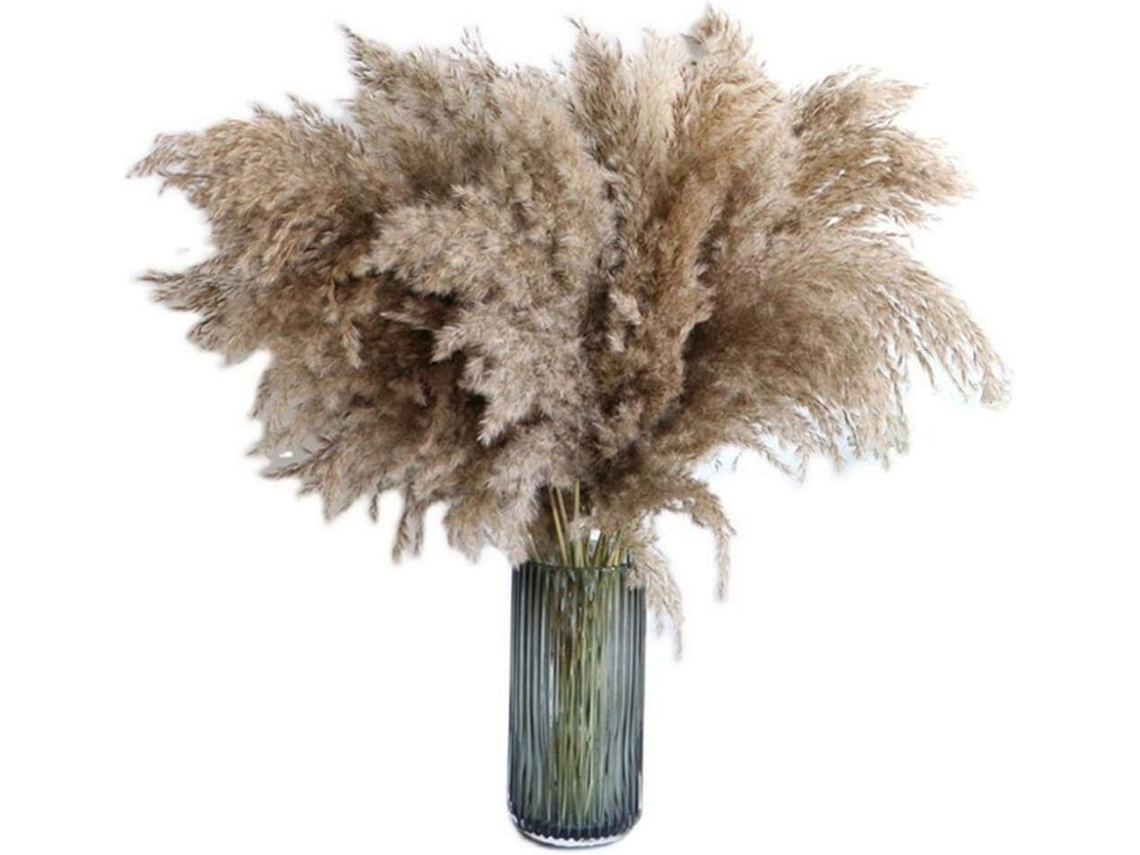 Buquê de Capim dos pampas, 20 Unidades de 60 Cm, Natural e Seco, Moderno, Flores Artificiais para Decoração de Casa e Vaso. AQUAFORGE
