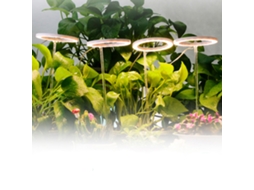 Iluminação Led Para Plantas Aquaforge