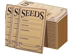 Pacote Com 100 Envelopes Para Moedas Com Fecho Hermético, Medindo 7,6 X 11,9 Cm, Com Modelos Pré-impressos Para O
