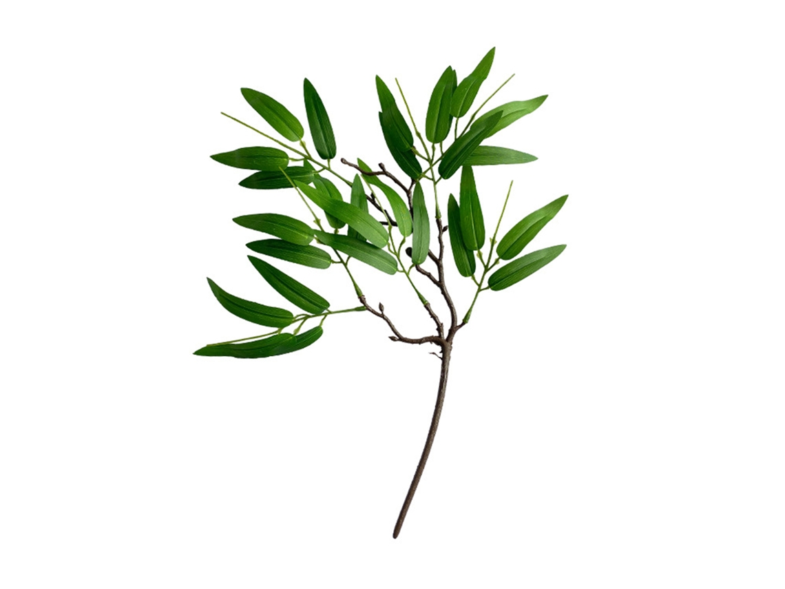 Arranjo com folhas de eucalipto, vasos e rama de bambu para decoração verde LAXISCREED