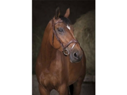 Cabeçada Vague Castanho Fullnorton Equestrian