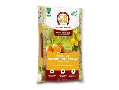 Plantas mediterrânicas de terra ou castanhas Obrtpm35n ou castanhas