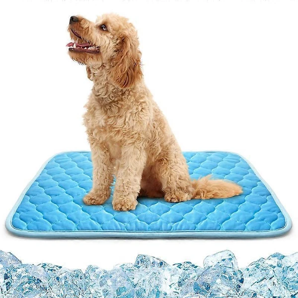 Tapete Refrescante, para Cães, Autorefrescante, 68x50 Cm AQUAFORGE
