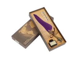 Caneta Vintage Europeia Pluma Caligrafia Presente Roxa