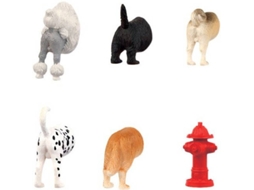 Ímanes Rabos de Cão