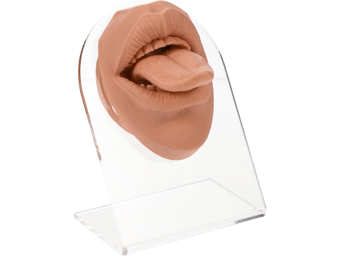 Modelo Flexível De Silicone Para Prática De Piercing Na Língua E Na Boca (café)