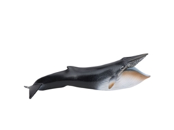 Mali brinquedo Educativo Modelo Animal Marinho Simulado Decorativo Mesa Infantil Pl127‑1341