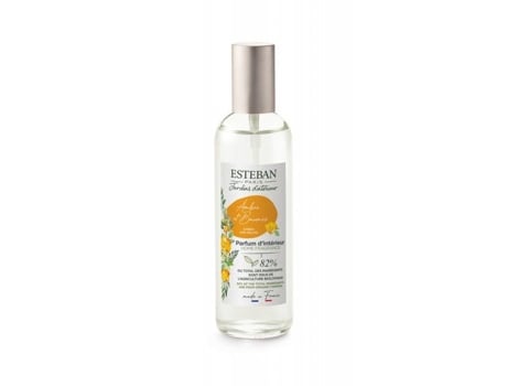 Paris Vaporizador Spray Perfumado 100ml Âmbre E Baunilha Esteban
