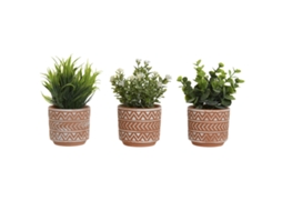 Planta Decorativa Home Esprit Polietileno Cimento 12 X 12 X 17 Cm (3 Unidades)