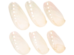 Conjunto 6 Conchas Abalone Peroladas Naturais 4 Decoração Casamentos Estilo Praiano Aquários Cm Cor Bege GOKOCO