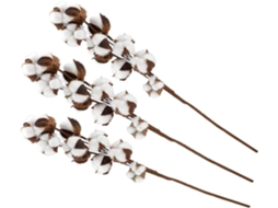 Conjunto De 3 Arranjos De Flores Artificiais De Algodão Seco Com 10 Cápsulas De Algodão Macio Para D Gokoco