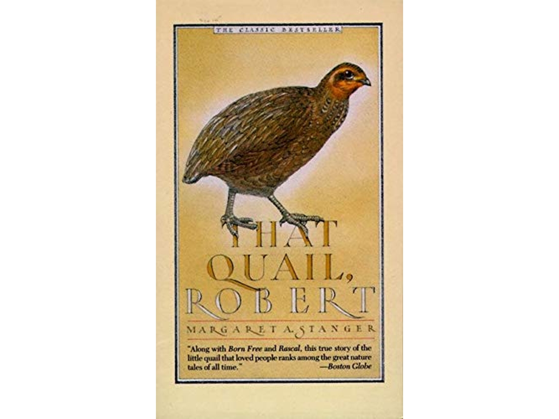 Livro That Quail Robert de Margaret Stanger (Inglês)