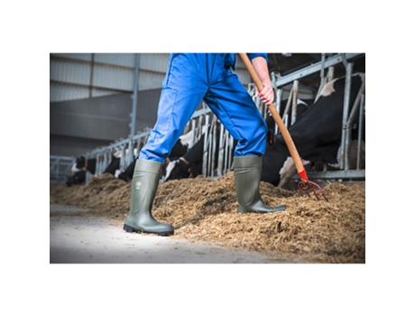 Botas de Unissexo BEKINA Segurança Steplite Easygrip Verde (40)