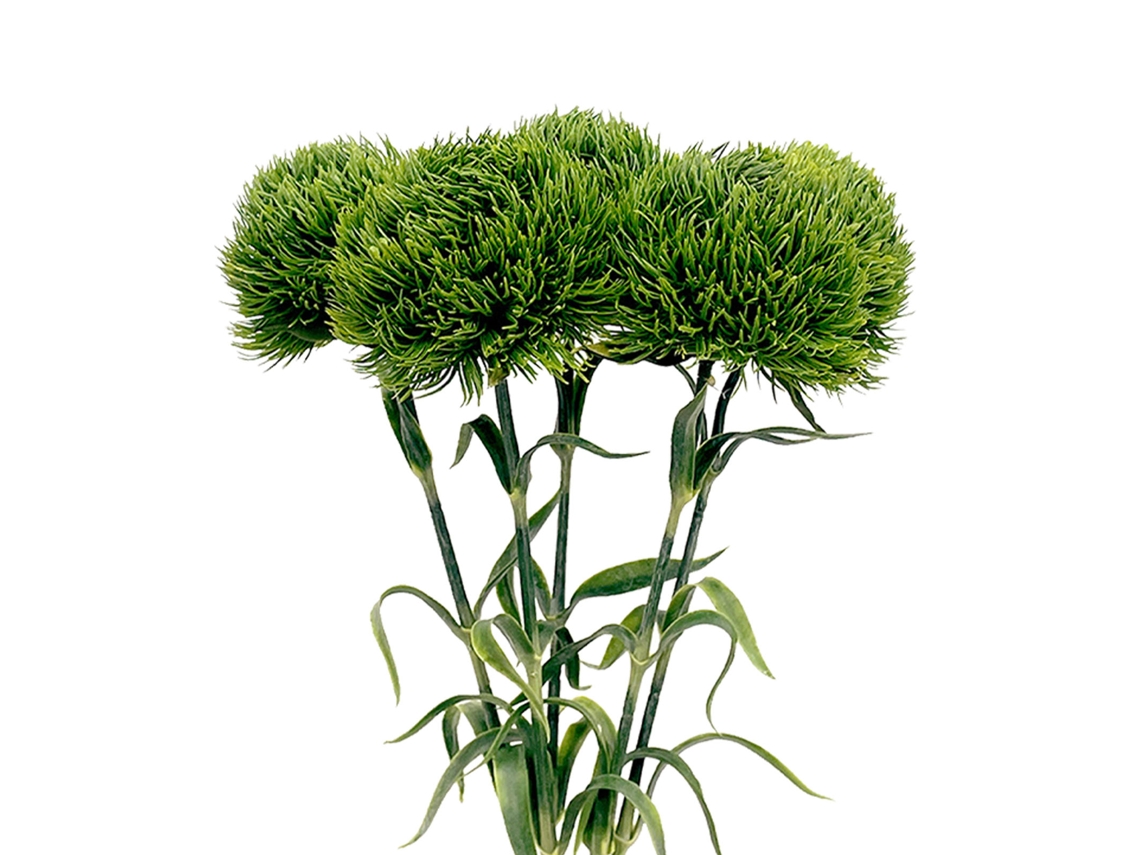 Dente De Leão Artificial Verde Escuro Resistente Ao Desbotamento Para Decoração