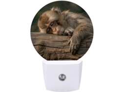 Luz Noturna Led Com Sensor, Luz Noturna Suave E Quente Banheiro, Quarto E Cozinha