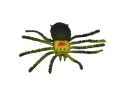 Primerox brinquedo de Aranha Realista Modelo Animal Plástico Educativo para Crianças Meninos e Meninas Toddlers