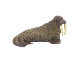 Walshlxq figura de Animal em Miniatura de Morsa e Foca Elefante Modelo Educativo Brinquedo Decoração para Casa Crianças