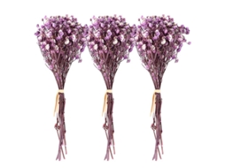 Os Novos Ramos 1Pcs Babysbreath ALLINLESS