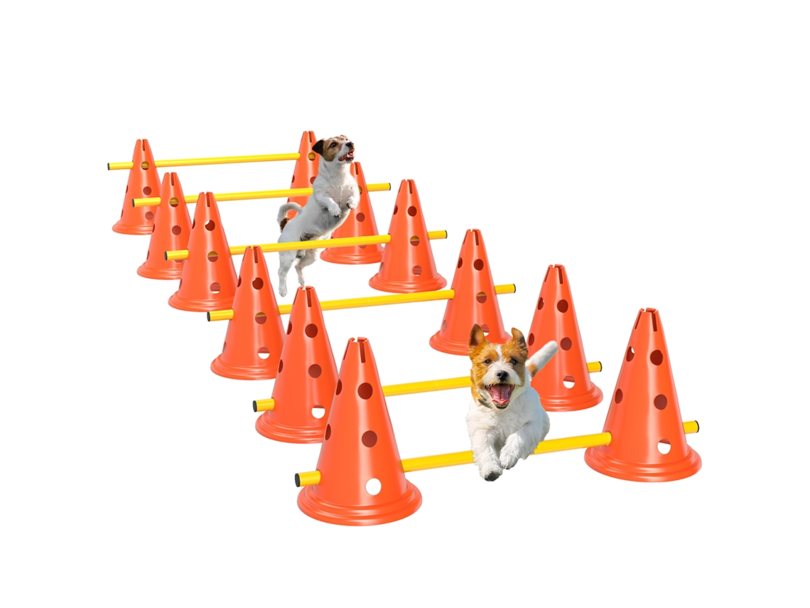 Ensemble D'agilité Pour Chien 6 Pièce, Parcours D'obstacle Hauteur Réglable Avec Sac de Transport, Orange VELTUS TRADE