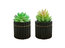 2 Peças de Plantas Suculentas Simuladas em Vaso Ornamentos Criativos Pequenos Vasos de Cimento Pintados de Ouro NEVEANCE