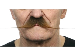 Bigode DISFRAZZES Grande (Tam: Tamanho Único)