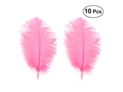 10Pcs Penas Artificiais de Avestruz ALLINLESS
