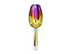 Colher de Gelo Inox LAXISCREED 8in Colorida