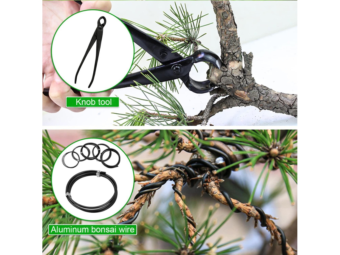Laxiscreed Conjunto De Ferramentas Para Poda De Bonsai Com Estojo De Armazenamento