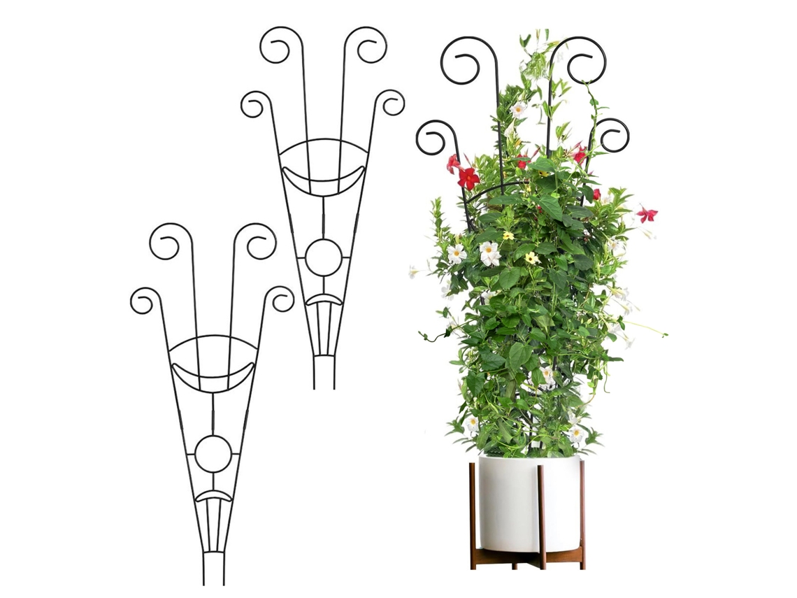 Suporte Metal Jardim Para Plantas Trepadeiras 2pcs