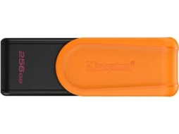 Pen USB KINGSTON (256GB 3.2 - GEN 1)