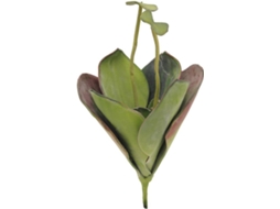 Planta Artificial EUROPALMS Water Lily (Verde - 45 cm)