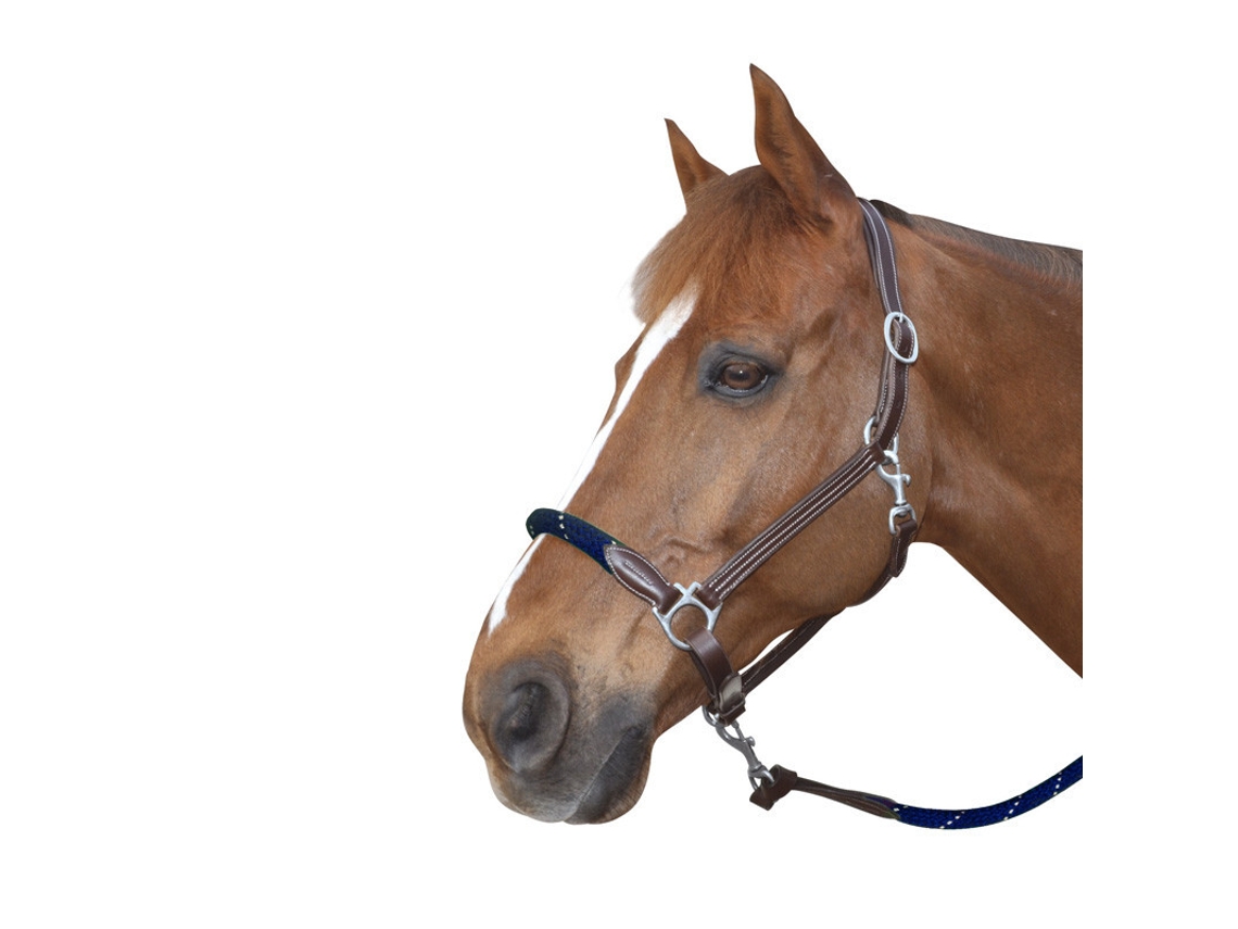 Cabresto de corda com fivelas brancas para cavalos Canter