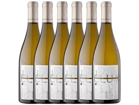 Vinho XAVIER CLUA Xavier Clua Il·Lusió Grenache Branca Terra Alta Joven (0.75 L - 6 unidades)