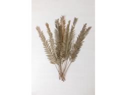 SKLUM Ramos Secos Decorativos Sarat Fibra Vegetal Verde Bambu