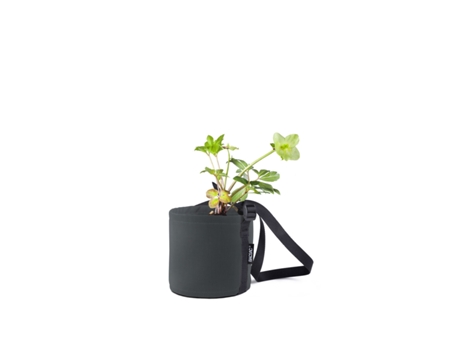 Vaso BACSAC 3 L (Multicor - 15 x 15 )