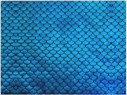 Colcha de Flanela Macia e Quente com Estampa Escamas Peixe Azuis 152 4 X 127 Cm, Macio, Quente, Ideal para Qua