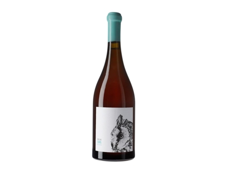 Vinho branco SICUS Sons Malvasía Penedès (0.75 L - 1 Unidade)