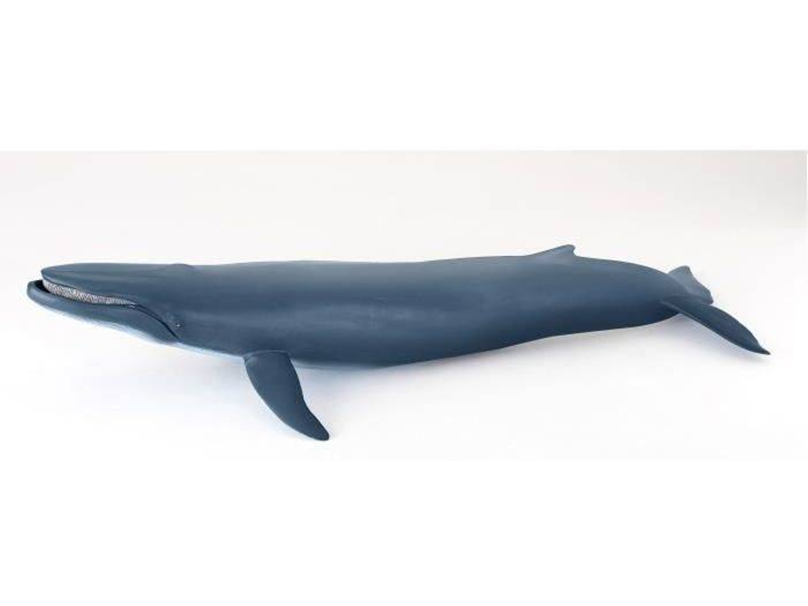 Figura PAPO Baleia Azul