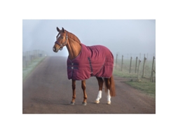 Manta Estável para Cavalos HORSEWARE Rambo Stable 200 G 6'0/130 cm