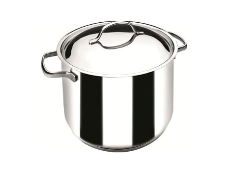 OLLA RECTA BASIC