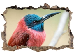Gougeltd Adesivos Muraux Oiseau Exótico Autocollants Mural 3d Look Para Chambre Enfant Decoração Murale 72x113cm