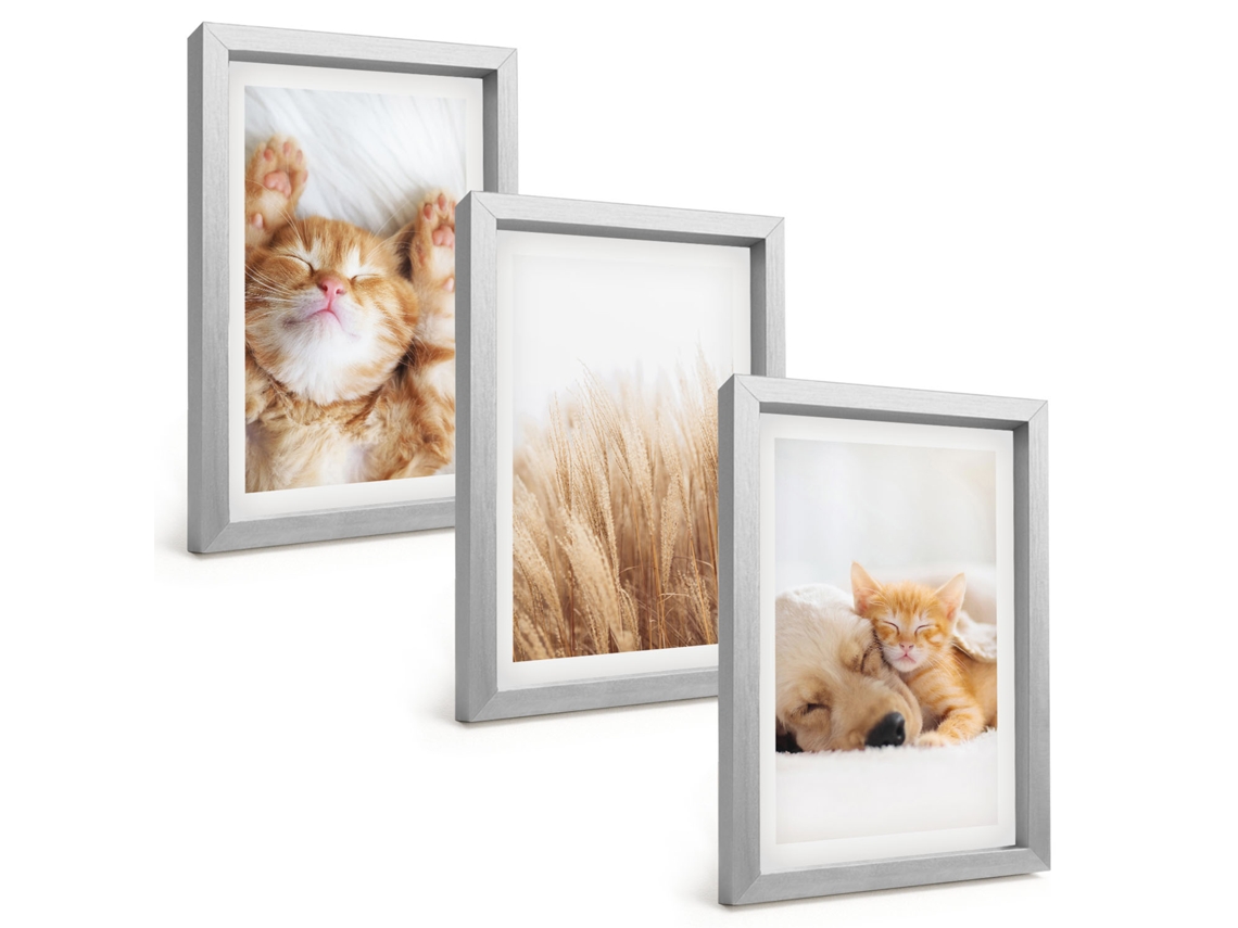 Pinturas Murais Modernasanimais Fofos, Gatos, Cachorros, Estilo Boho Moldura Prateada Fotos Para O Corredor Espelharte (3 Peças 20x30 Cm)