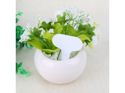 100 Etiquetas Plásticas T Para Plantas Jardim