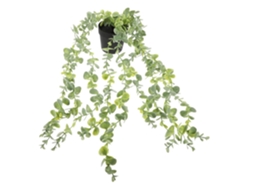Bonsai Suspenso Para Interiores E Exteriores Gokoco