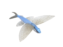 Ats figura de Peixe Volador de Plástico Sólido Modelo de Animal Marinho Brinquedo Educativo para Meninos e Meninas