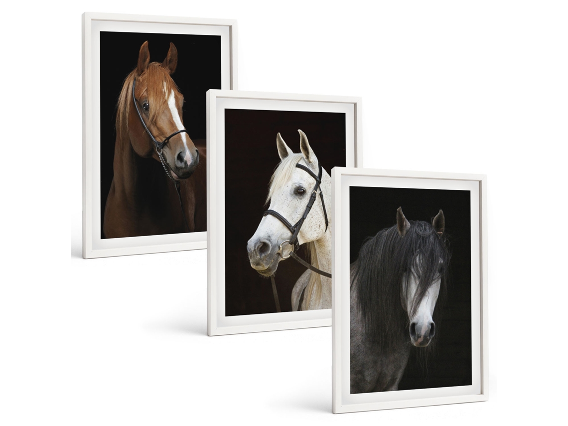 Conjunto De Pinturas Retratos De Cavalos Em Tons De Pelo Espelharte (3 Peças 40x60 Cm)