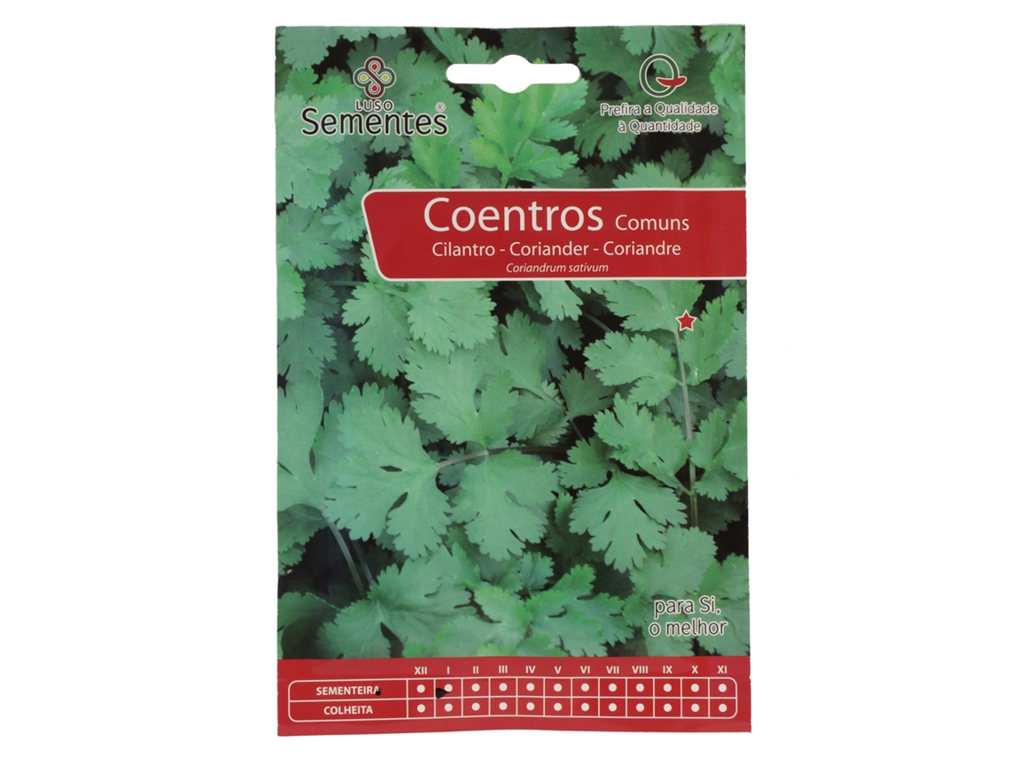 Semente Coentros Comuns 10gr