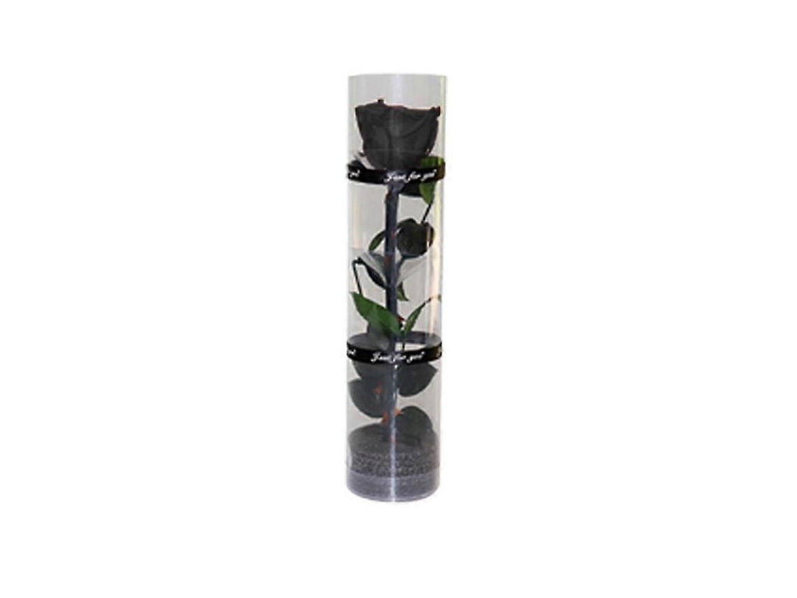 Rose Preservada Real Com Caule E Folhas, 27 Cm, Diametro 4.5 Cm, Embalagem Transparente, Duravel Por Anos Preto