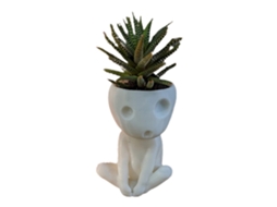 Vaso de Planta Cute Rosto Luminoso com Buraco de Drenagem