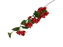 Laxiscreed Planta Artificial Bougainvillea Pequena Vermelha Para Decoração De Interiores E Jardim